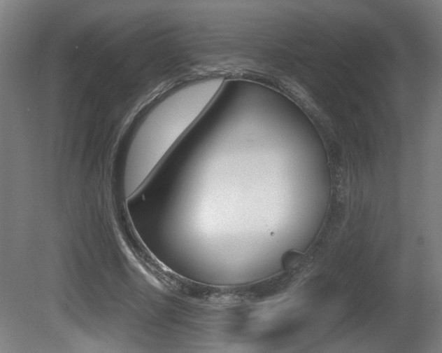 X0000081270634200701110908