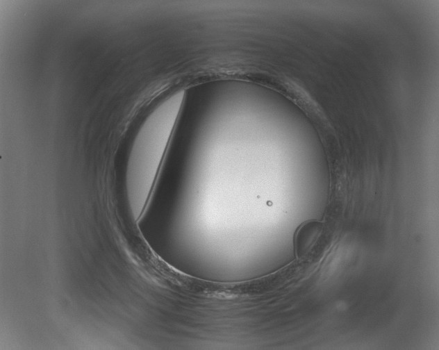 X0000081270635200701110908