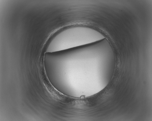 X0000081270636200701110909