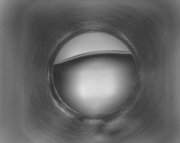 X0000081270637200701110909