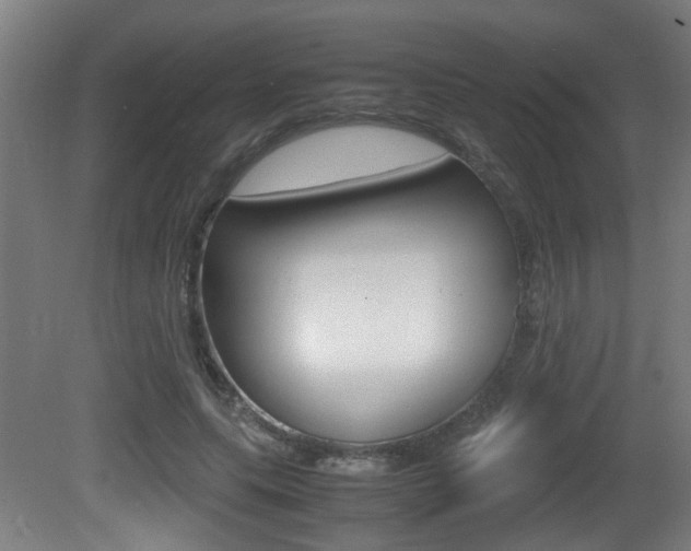 X0000081270639200701110909