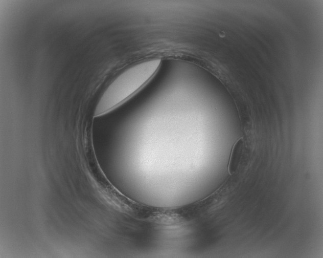 X0000081270642200701110909