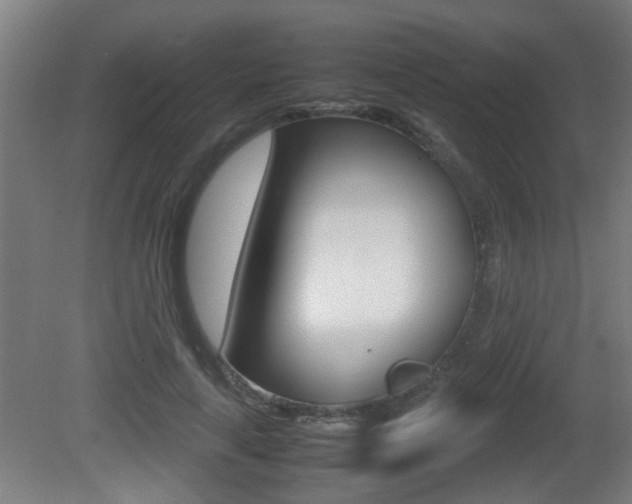 X0000081270643200701110909