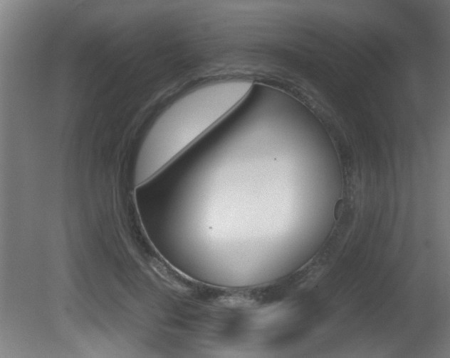 X0000081270644200701110909