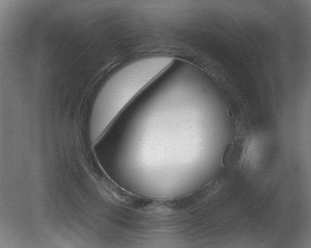 X0000081270648200701110909