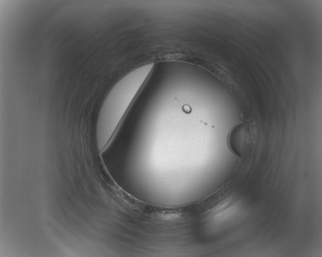 X0000081270651200701110909