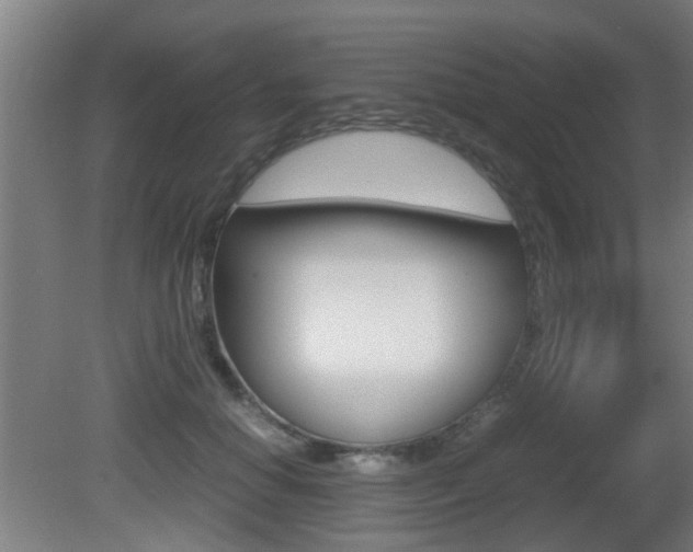X0000081270654200701110909