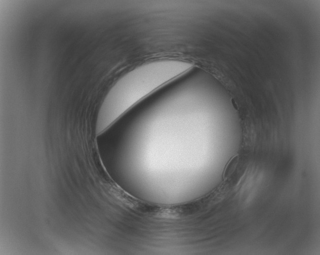 X0000081270656200701110909