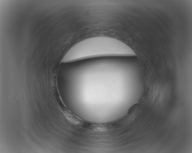 X0000081270658200701110909
