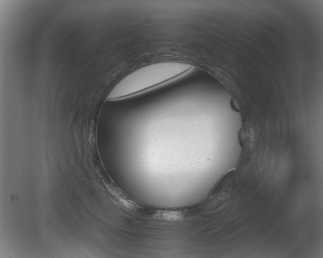 X0000081270665200701110909