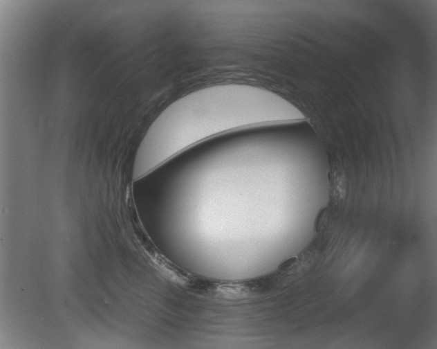 X0000081270666200701110909