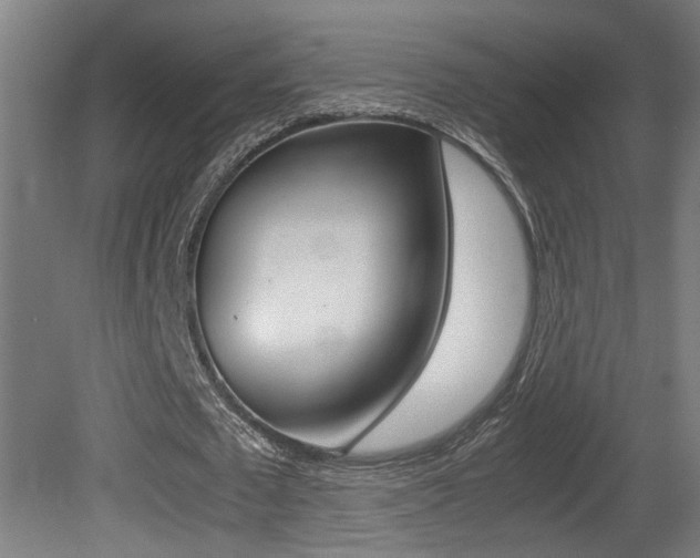 X0000081270673200701110908