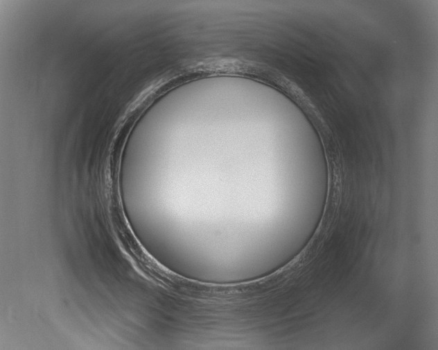 X0000081270674200701110908