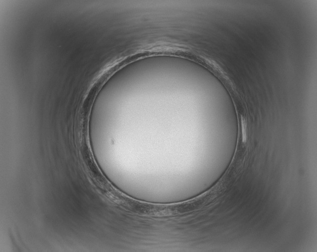X0000081270675200701110908
