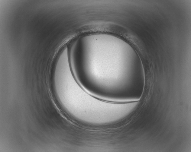 X0000081270677200701110908