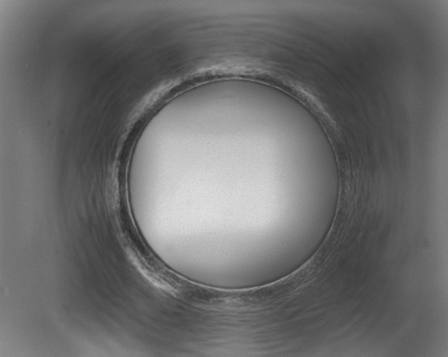 X0000081270678200701110908