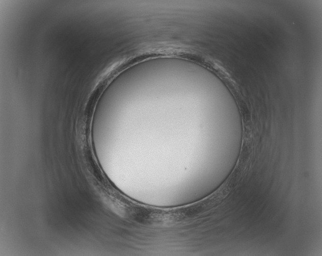 X0000081270679200701110908