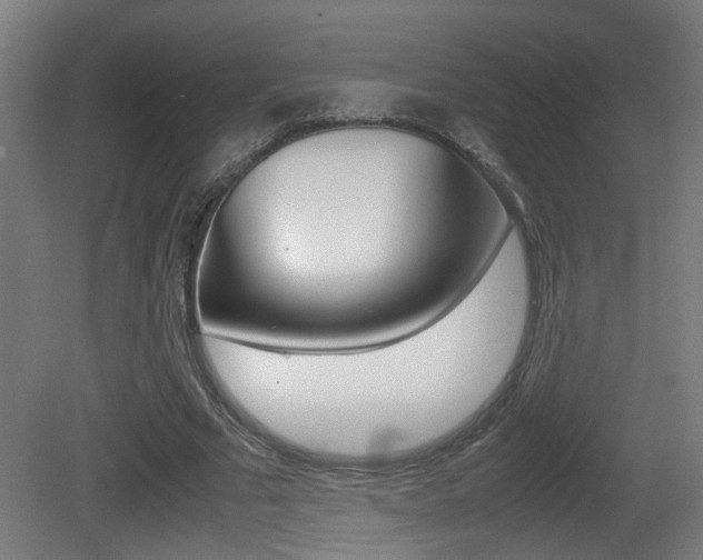 X0000081270681200701110908