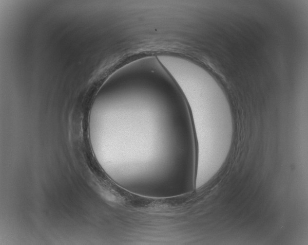 X0000081270685200701110908