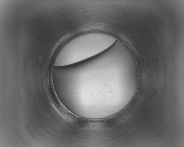X0000081270686200701110908