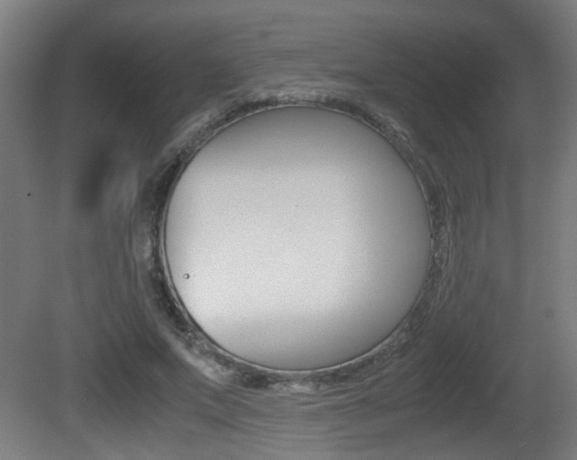 X0000081270687200701110908