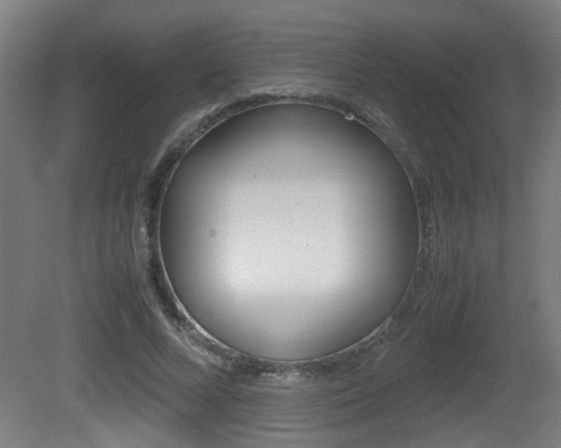 X0000081270688200701110908