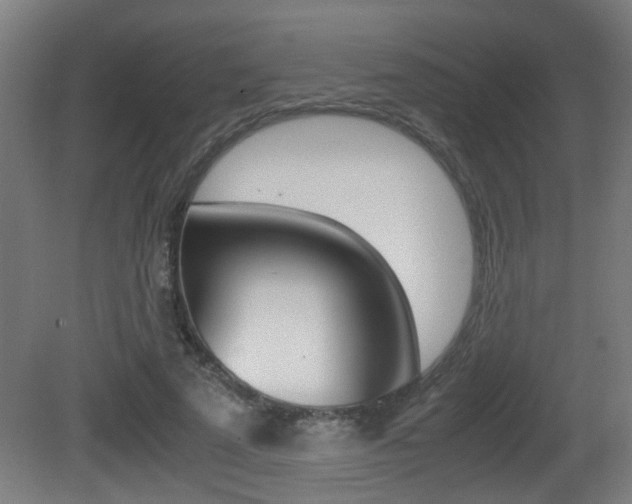 X0000081270689200701110908