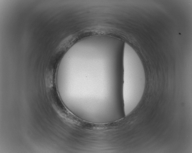 X0000081270694200701110908