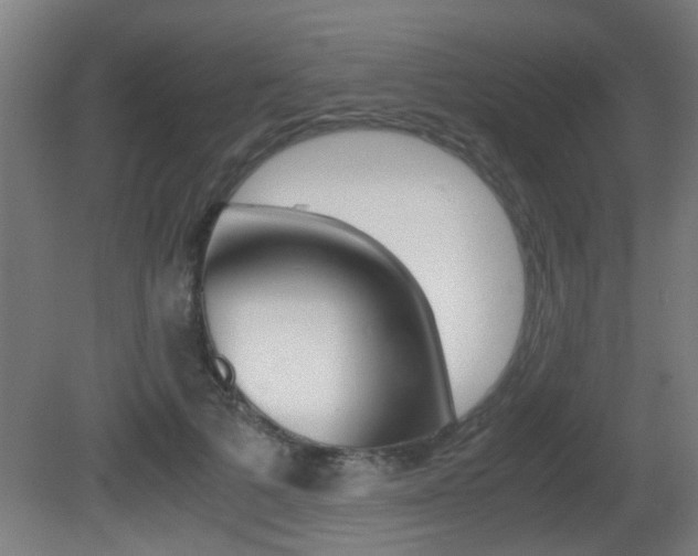 X0000081270697200701110908