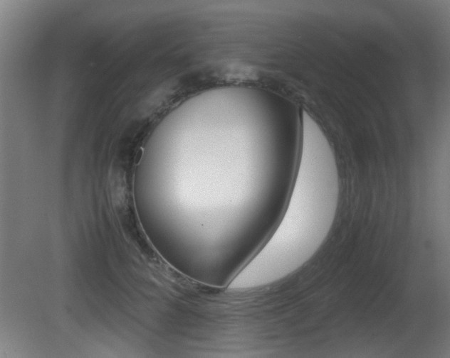 X0000081270704200701110908