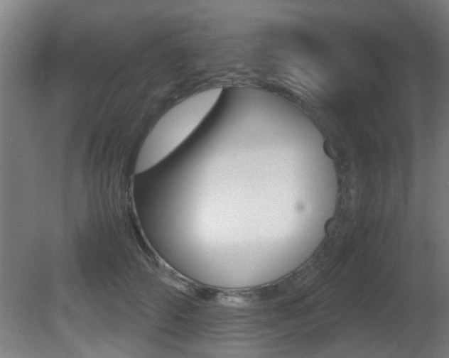 X0000081270706200701110908