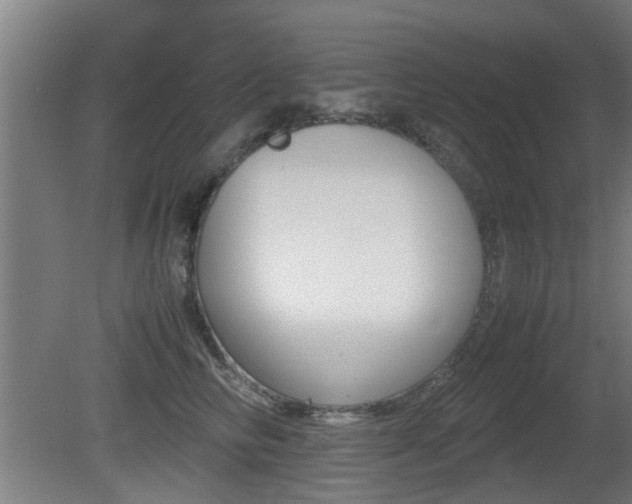 X0000081270710200701110908