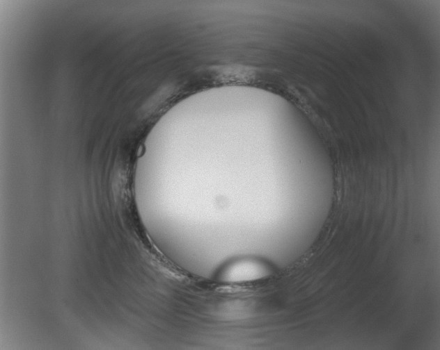 X0000081270714200701110908