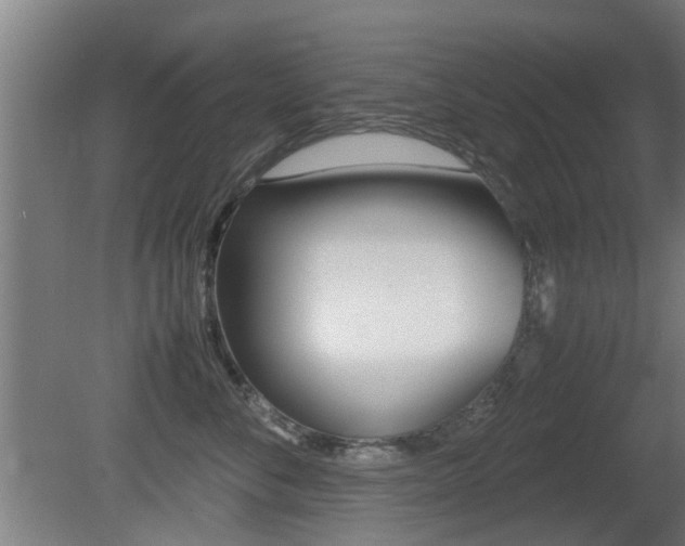 X0000081270716200701110908