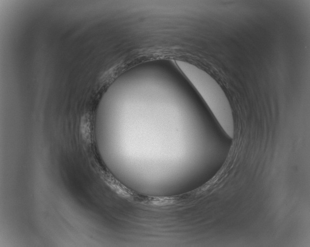 X0000081270720200701110907