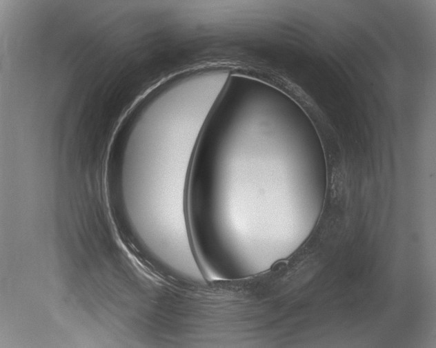 X0000081270722200701110907
