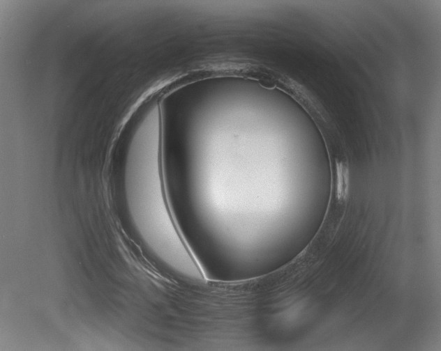 X0000081270723200701110907