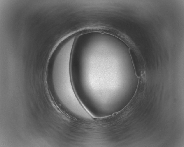 X0000081270724200701110907