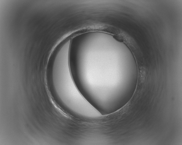 X0000081270726200701110907