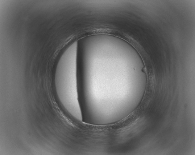 X0000081270729200701110907