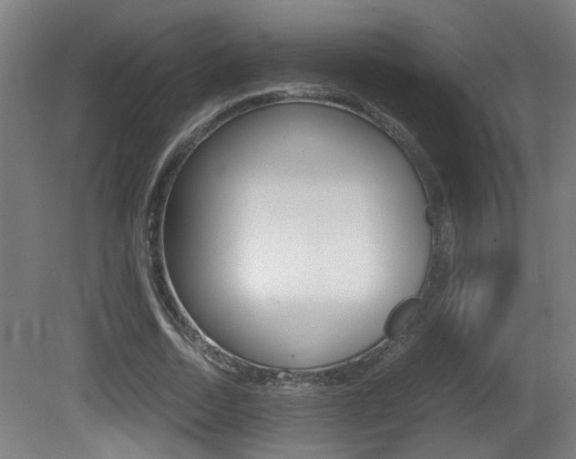X0000081270730200701110907