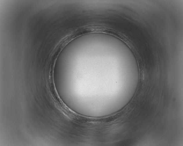 X0000081270733200701110907