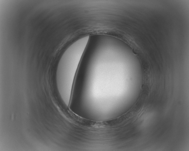 X0000081270742200701110907