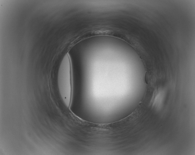 X0000081270743200701110907