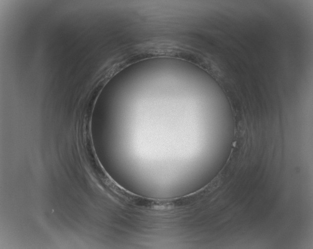 X0000081270744200701110907