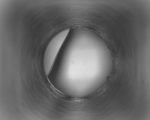X0000081270746200701110907