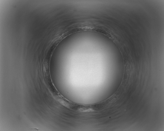 X0000081270747200701110907