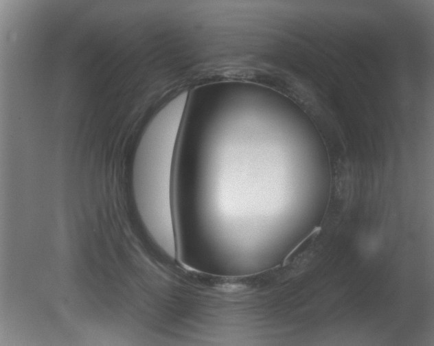 X0000081270748200701110907