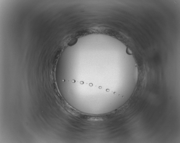 X0000081270749200701110907