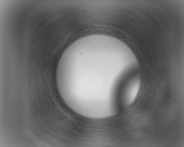 X0000081270750200701110907